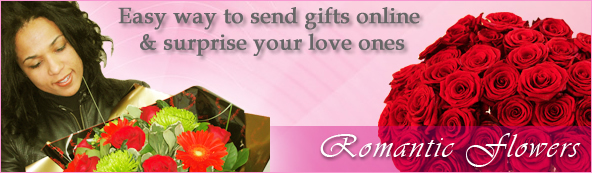 send gifts to jodhpur