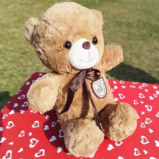 1 feet imported brown teddy Teddy Delivery Jaipur, Rajasthan