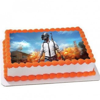 Pubg photo cake Online Cake Delivery Delivery Jaipur, Rajasthan