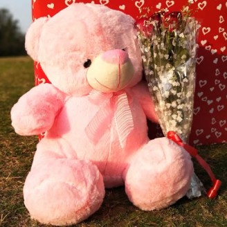 Pink teddy bear with beautiful rose bunch Teddy Delivery Jaipur, Rajasthan