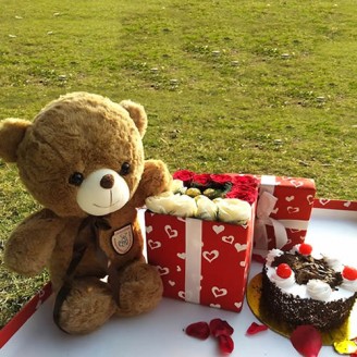 Teddy cake with chocolate and rose gift box Online Cake Delivery Delivery Jaipur, Rajasthan