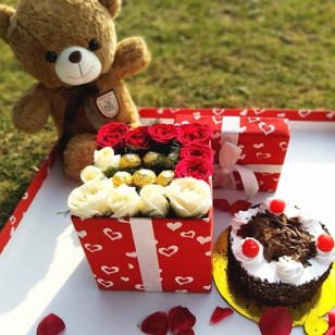 Teddy cake with chocolate and rose gift box