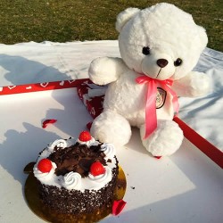 Teddy bear with cake