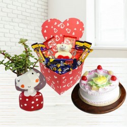 Jade plant with cake and hearty chocolate Jade plant with cake and hearty chocolate