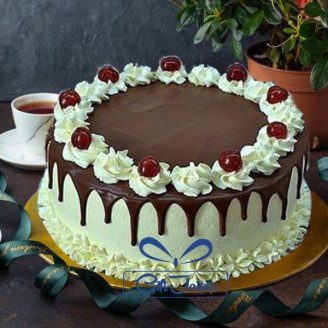 Creamy chocolate with cherry topping cake Online Cake Delivery Delivery Jaipur, Rajasthan