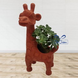 Succulent Plant in Terracotta Giraffe Pot