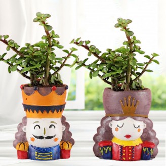 Jade plant in king queen resin pot combo Birthday Gifts Delivery Jaipur, Rajasthan