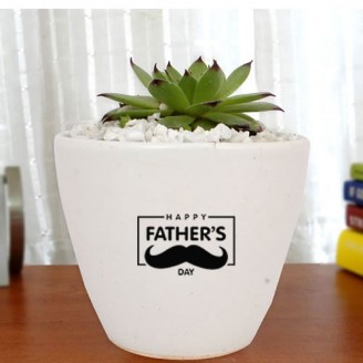Sempervivum indoor plant for father's day Gifts For Father Delivery Jaipur, Rajasthan