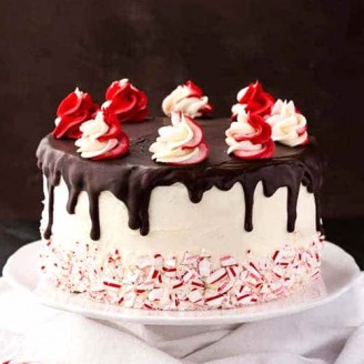 Beautiful cake with liquid chocolate Christmas Gifts Delivery Jaipur, Rajasthan