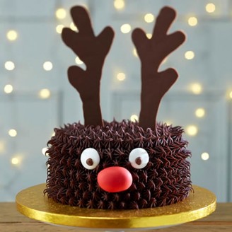 Chocolaty delight cake Christmas Gifts Delivery Jaipur, Rajasthan