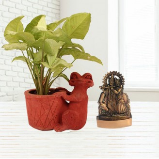 Syngonium green plant with radha krishna idol Mothers Day Special Delivery Jaipur, Rajasthan