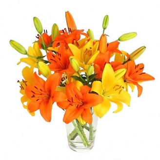 Sunshine Bouquet Online flower delivery in Jaipur Delivery Jaipur, Rajasthan