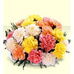 Bunch of Carnation flowers