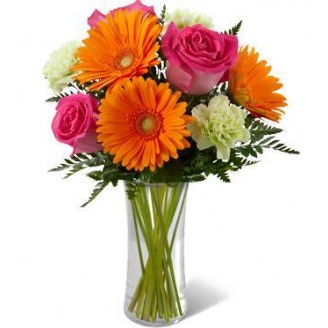 10 mixed Flower pot Online flower delivery in Jaipur Delivery Jaipur, Rajasthan