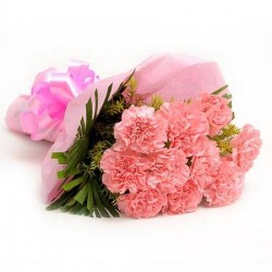 15 pink carnation bunch